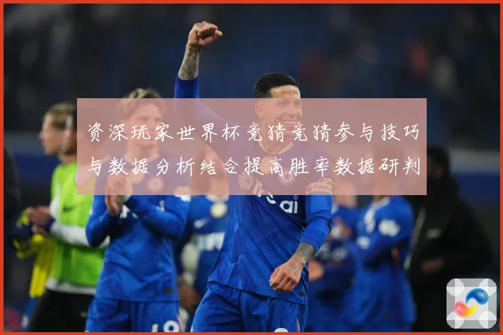 资深玩家世界杯竞猜竞猜参与技巧与数据分析结合提高胜率数据研判