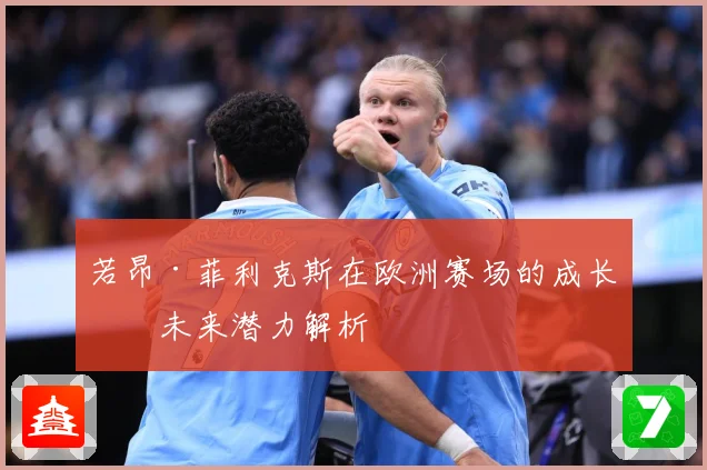 若昂·菲利克斯在欧洲赛场的成长与未来潜力解析