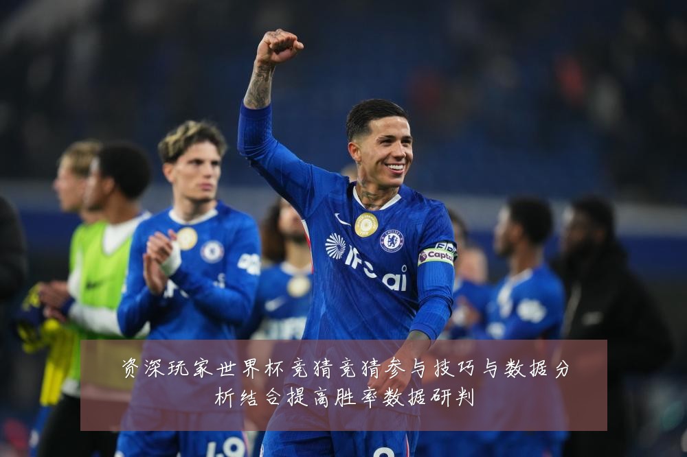 资深玩家世界杯竞猜竞猜参与技巧与数据分析结合提高胜率数据研判