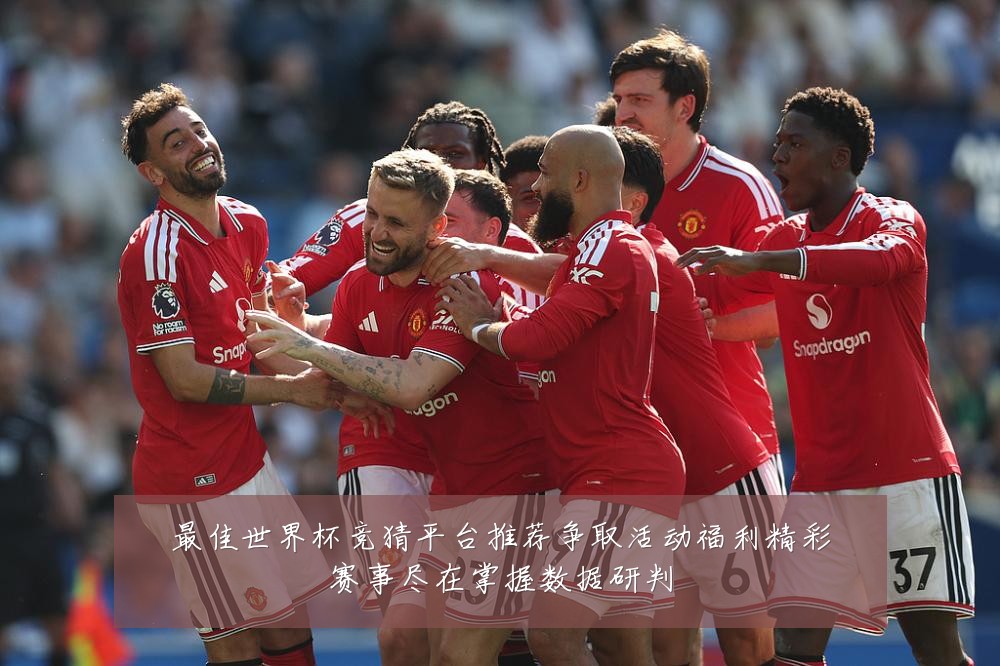 最佳世界杯竞猜平台推荐争取活动福利精彩赛事尽在掌握数据研判
